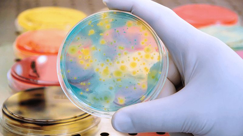 生物科技医疗应用行业规范：合规之路，安全为魂