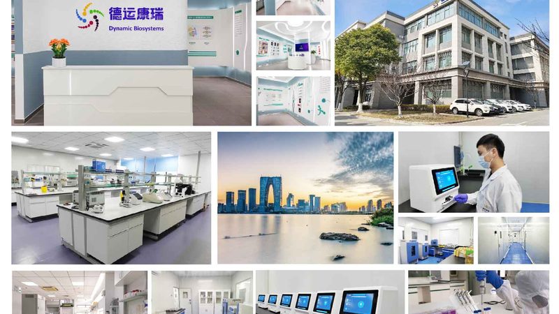 DMEM培养基：揭秘细胞培养的“黄金液态基质”**