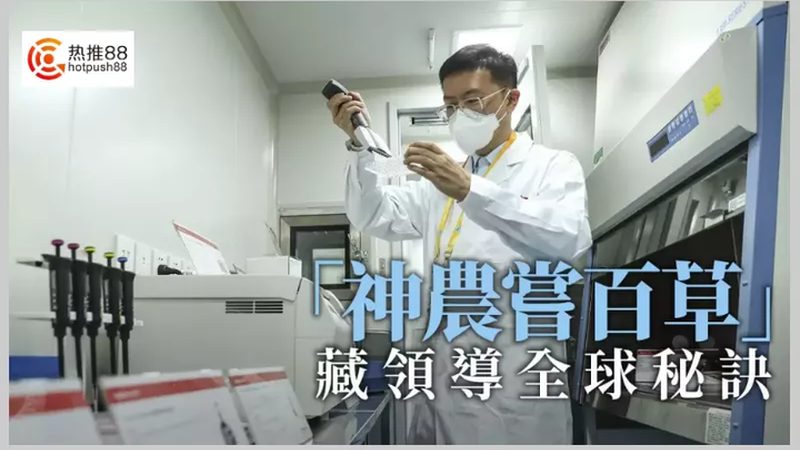 CDMO项目外包，如何规避潜在风险？**