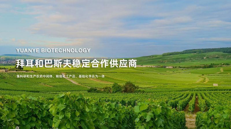 核酸提取试剂：揭秘其背后的技术奥秘与选购要点**