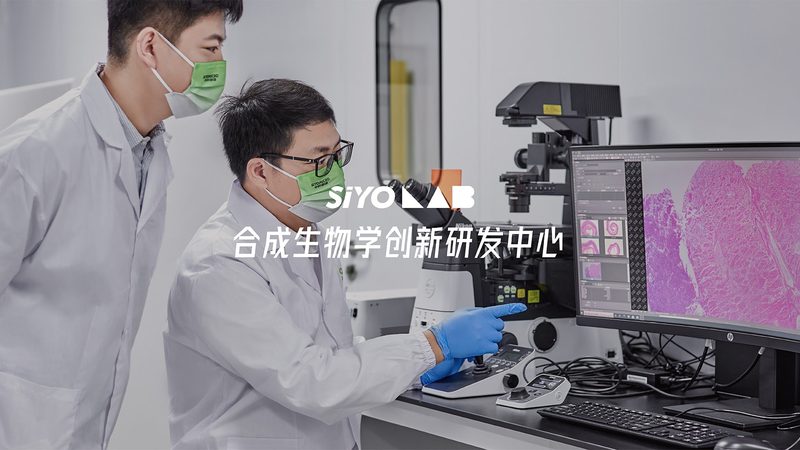 CDMO技术平台：揭秘其核心价值与选择要点