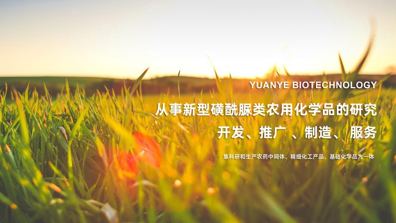 解码CRO平台价格：揭秘十大品牌背后的真相