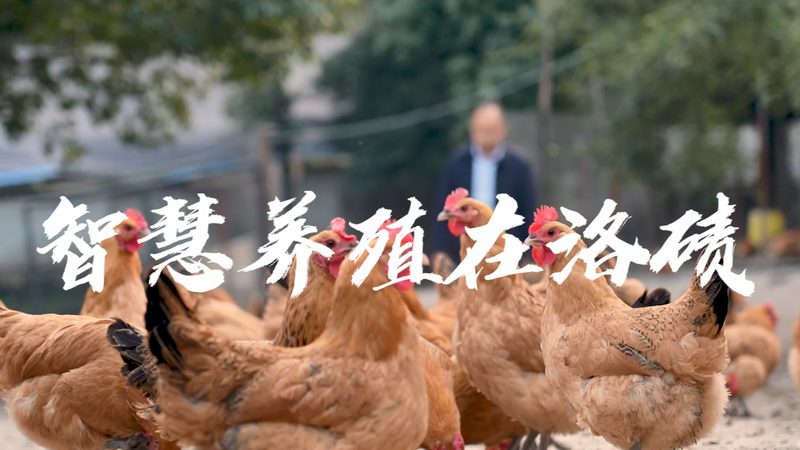 分子生物学试剂：如何选择合适的厂家与价格