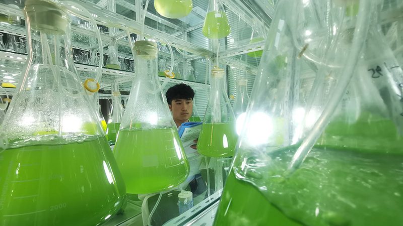 生物检测服务标准分类解析